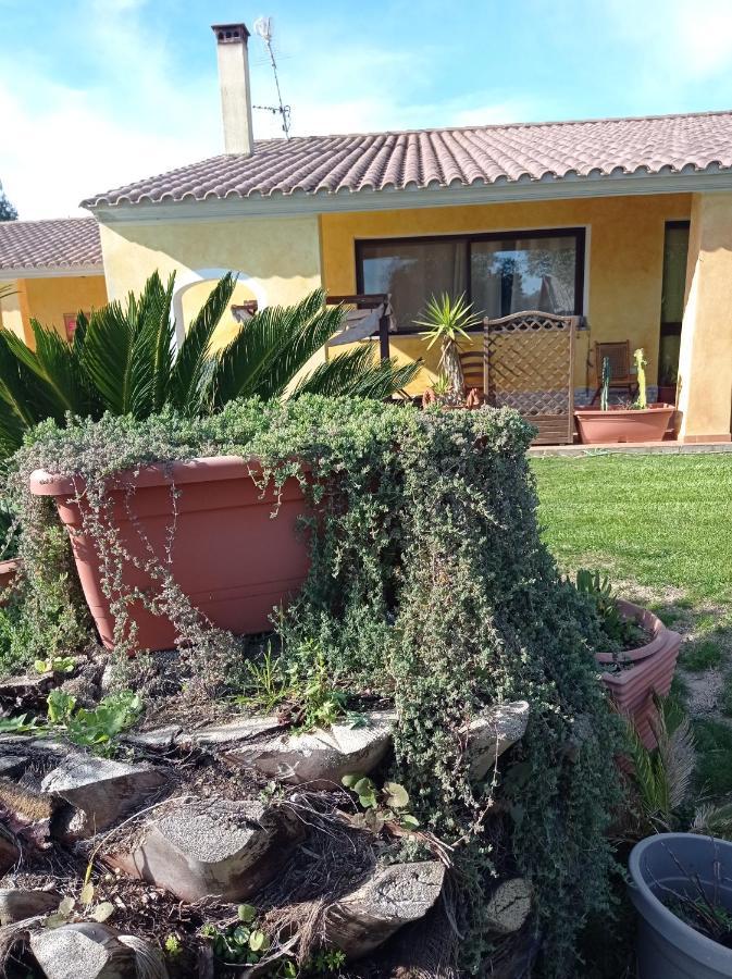 La Luce Del Sinis Villa Риола Сардо Екстериор снимка